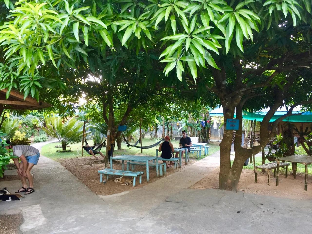 Fat Monkey Hostel Coron Bagian luar foto